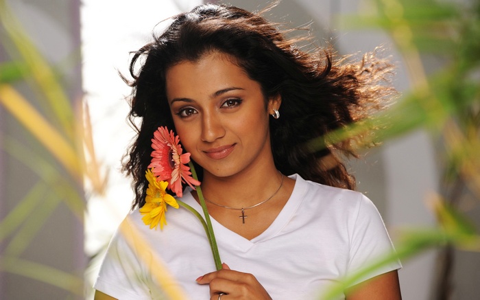 Telugu, Tamil, 4K, Trisha Krishnan, Heroine