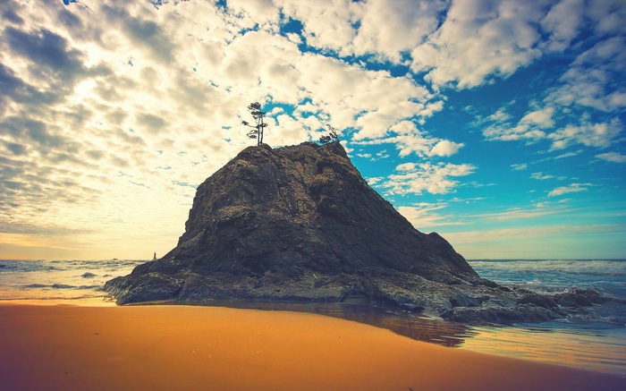 Rock formation with trees on a beach at sunset