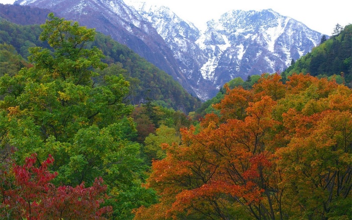 Autumn forest with snow-capped mountains