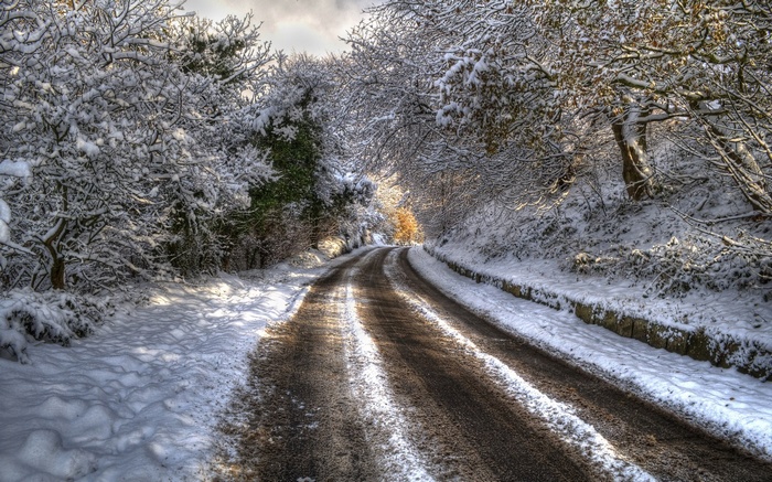 Snowy road through trees