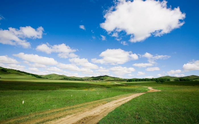Dirt road through a green meadow under a blue sky
