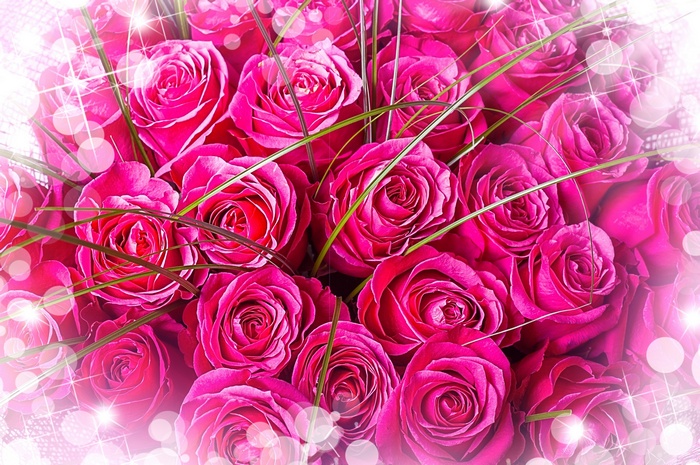 Bouquet of Pink Roses with Sparkles