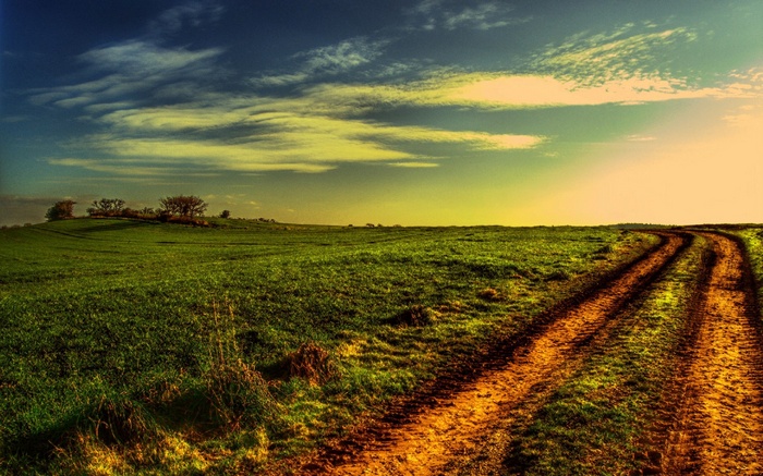 Dirt road through a green field under a cloudy sky