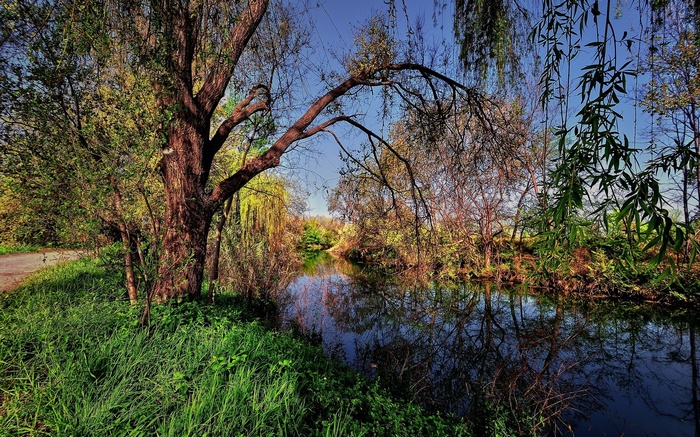 A tranquil river flows through a wooded area with reflections.