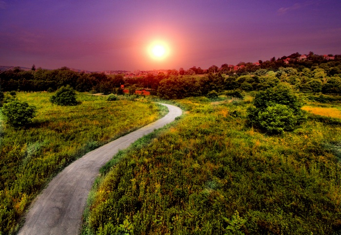 Pathway through a field at sunset