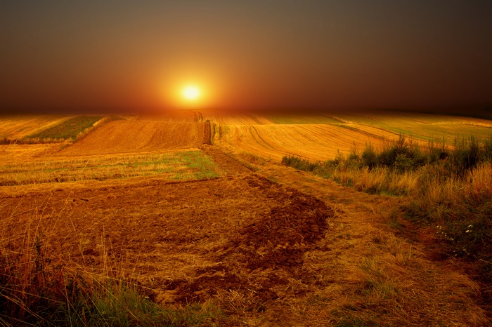 4K Sunset over a Rural Field Landscape