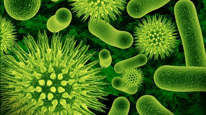 Microbial world with viruses and bacteria in 4K