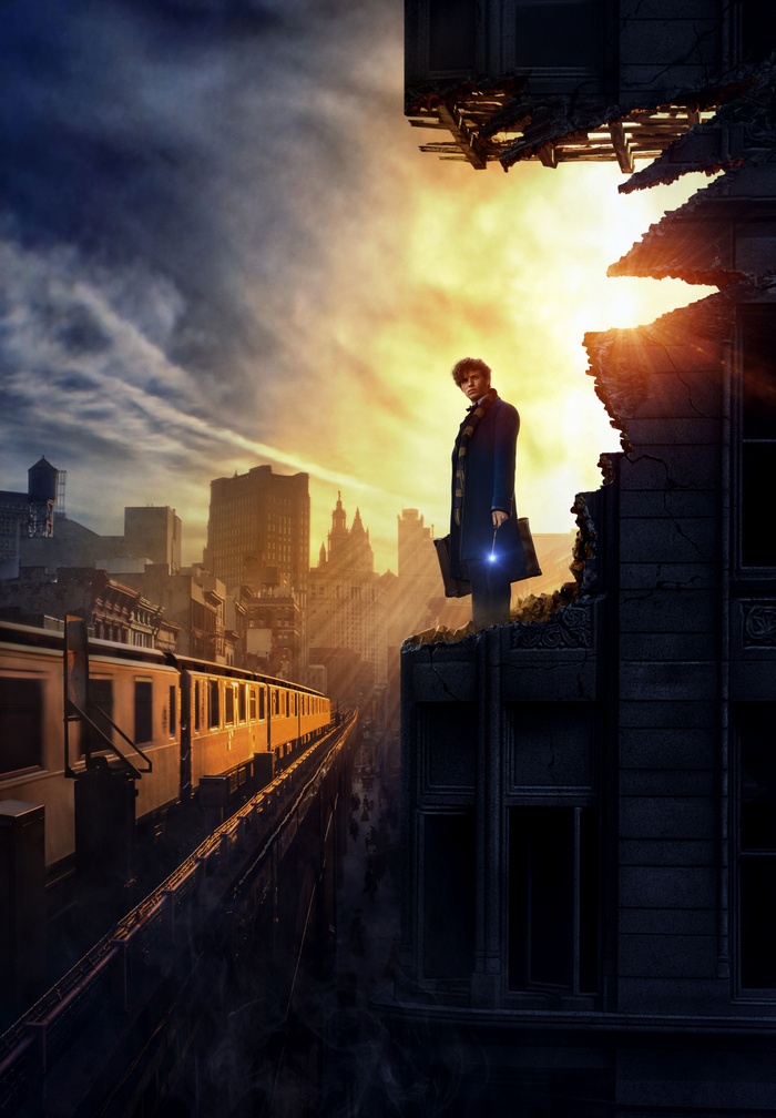 Newt Scamander from Fantastic Beasts 4K