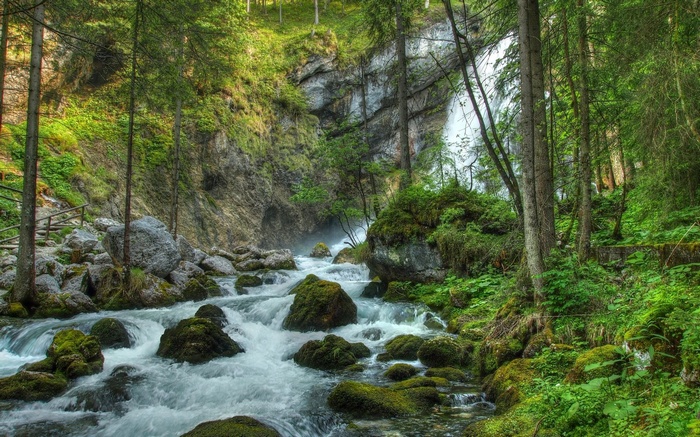 A forest stream flows over mossy rocks near a waterfall.