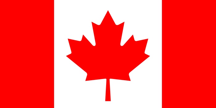 Canadian flag with a red maple leaf