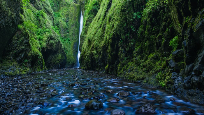 Oneonta Gorge Waterfall in Oregon
