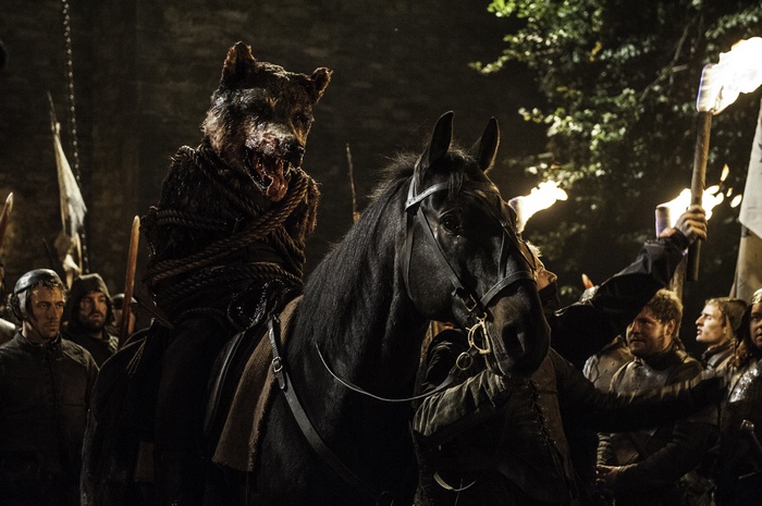 A dead wolf head on a horse with torches