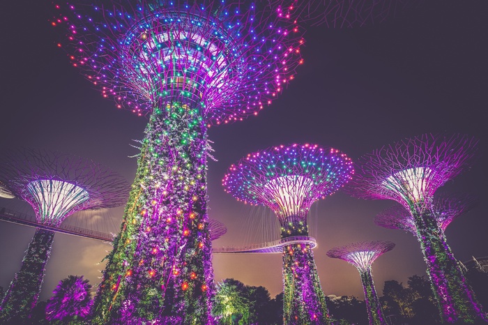 Gardens by the Bay Singapore at night with lights