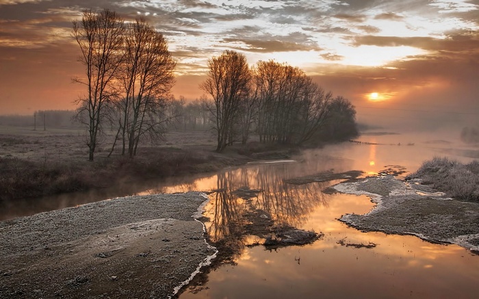 Misty River Sunrise with Bare Trees