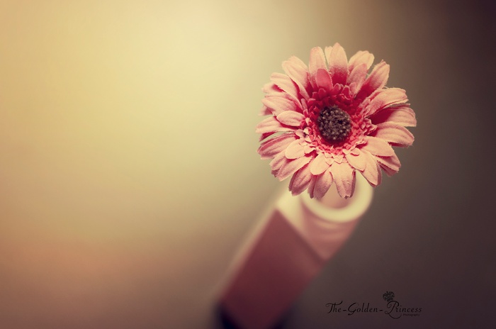 Pink fabric flower on a lipstick tube