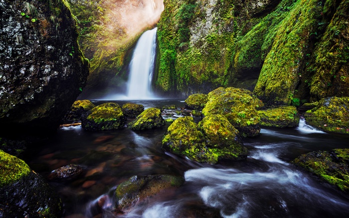 Mossy Rocks and Waterfall in 4K