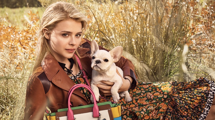 Chloe Grace Moretz with French Bulldog for Coach 4K