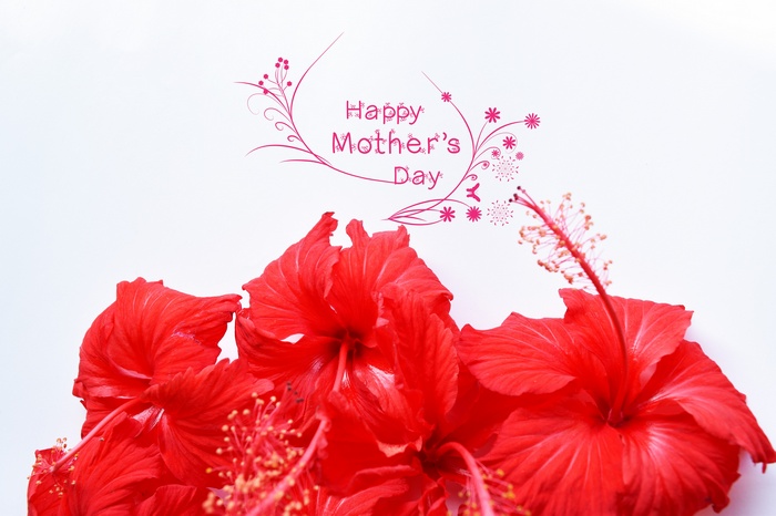 Happy Mother's Day with Red Hibiscus Flowers