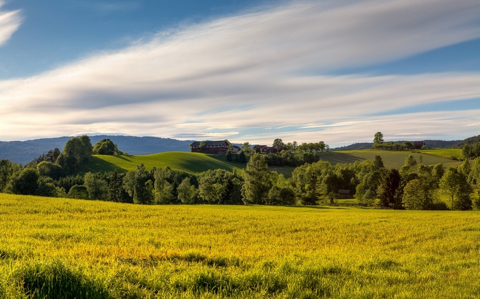 Rolling green hills with farmhouses and a bright sky