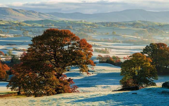 Frosty Autumn Landscape with Trees and Hills