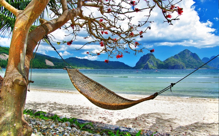 Hammock on a tropical beach with islands in the background