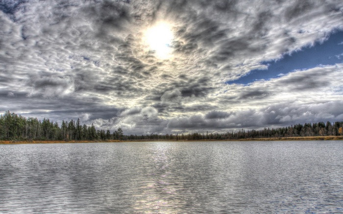 Lake and forest under cloudy sky