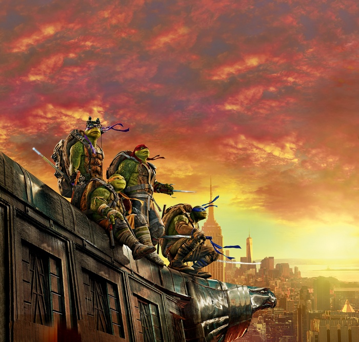 Teenage Mutant Ninja Turtles on a Rooftop