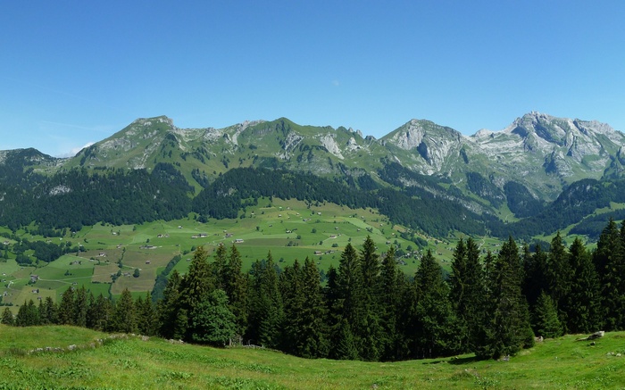 Green mountains with scattered houses and pine trees
