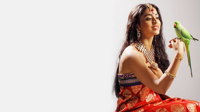 Shriya Saran with a parrot in traditional attire 4K
