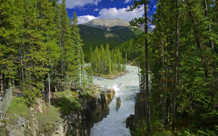 Waterfall in a forest with mountains in the background