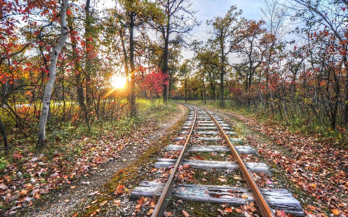 Train tracks through an autumn forest with sun flare
