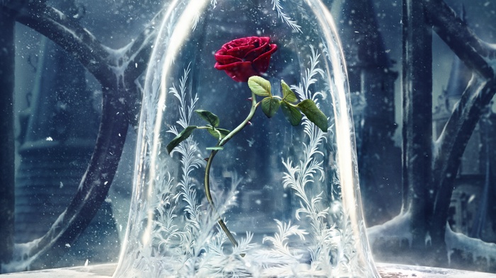 Enchanted Rose from Beauty and the Beast (2017)