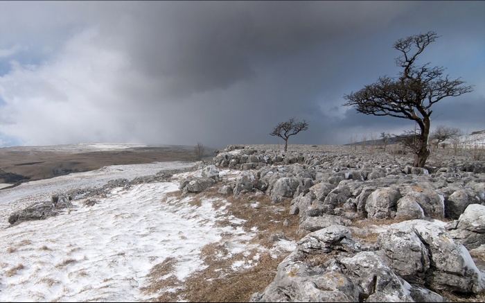 Barren landscape with snow and limestone pavement