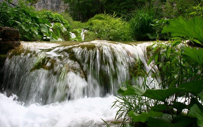 Waterfall cascading over mossy rocks with lush green foliage
