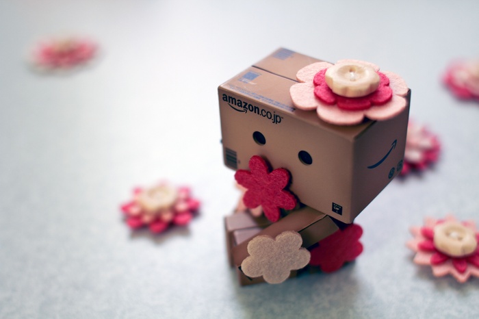 Cute Danbo robot with flowers from Amazon