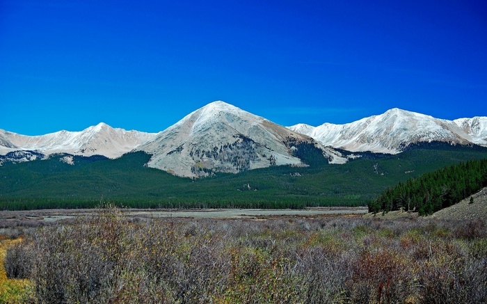 Snow-capped mountains behind a forest and meadow
