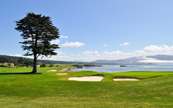 Golf course with ocean view and tree