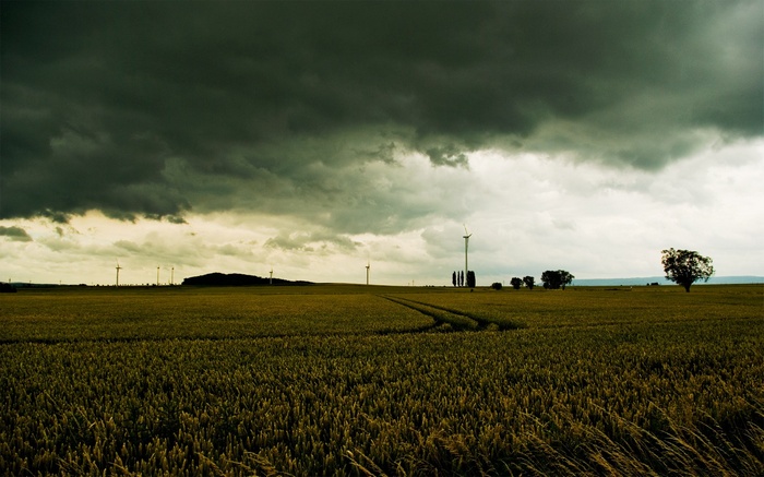 Wind turbines in a wheat field under stormy clouds