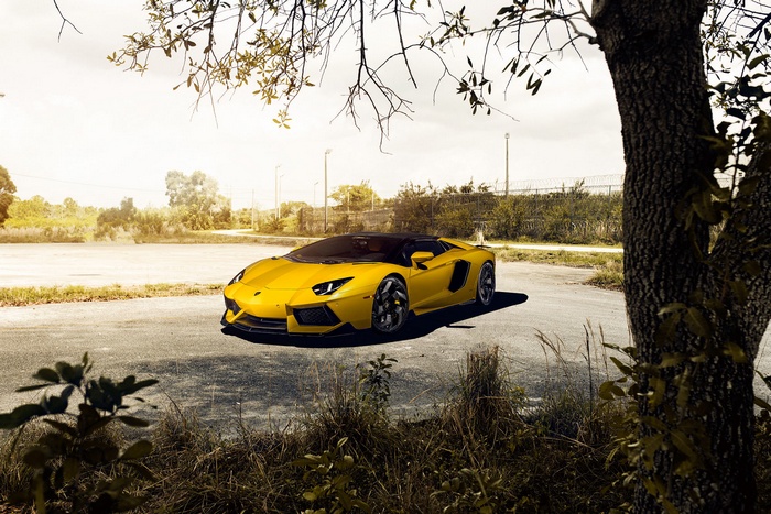 Yellow Lamborghini Aventador Roadster by Vorsteiner