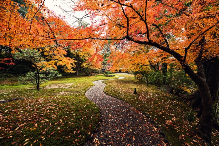 Autumn leaves in Yoshikien Garden, Japan