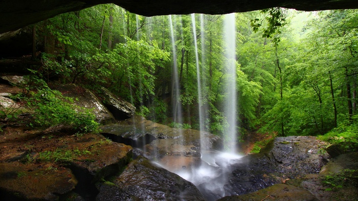 Waterfall cascading into a forest pool