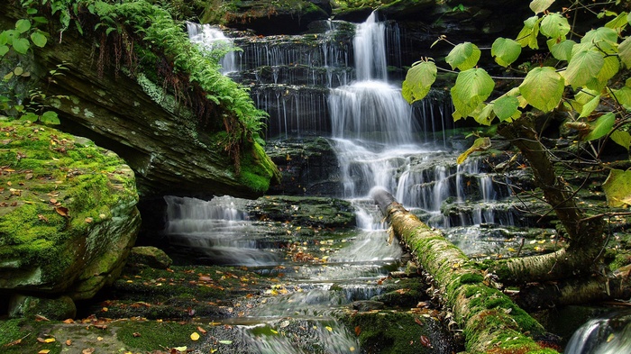 Mossy rocks and a cascading waterfall in a forest