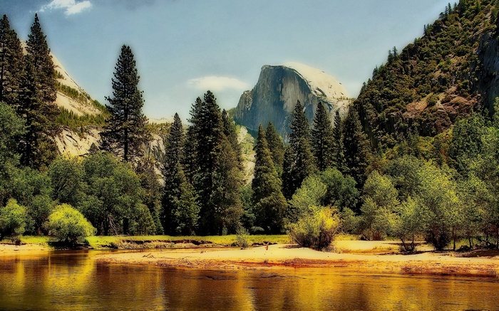Half Dome Yosemite National Park River and Trees