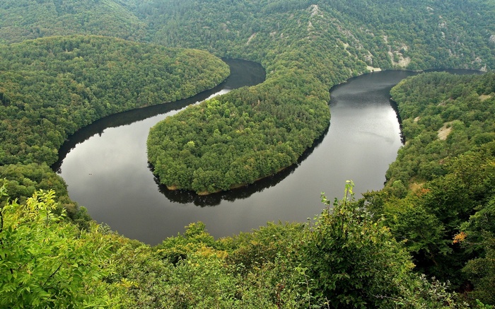 Meandering River Through a Forested Valley