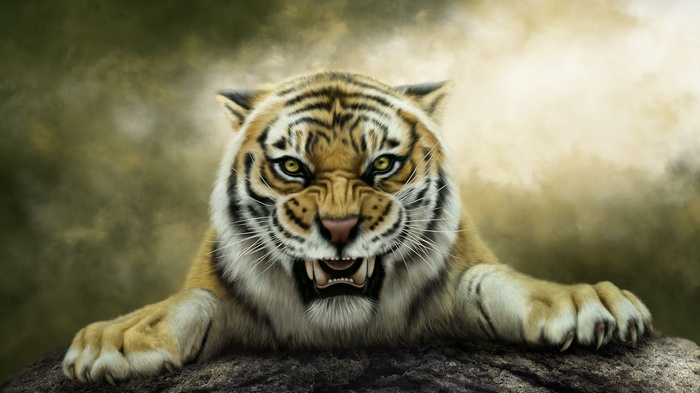 Roaring Tiger Ready to Pounce on Rock