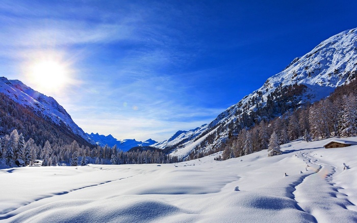 Snowy mountain valley with sun and trees