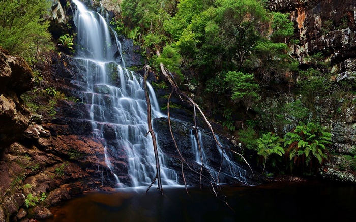 Waterfall cascading down mossy rocks in a forest