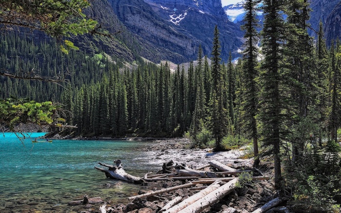 Turquoise lake with pine forest and mountains