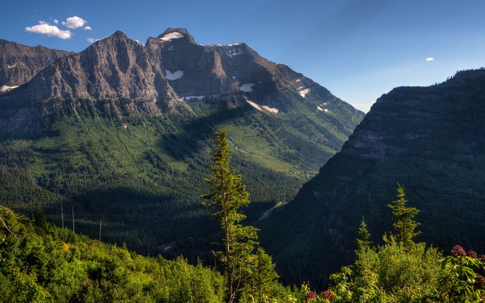 Mountain range with green forest and blue sky