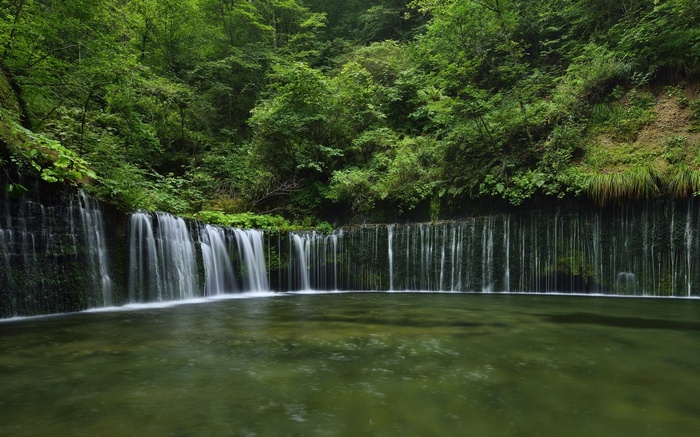 Waterfall cascading into a pool in a dense forest